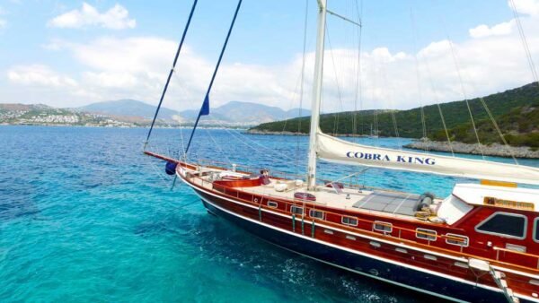 COBRA KING Motor Sailer Yacht